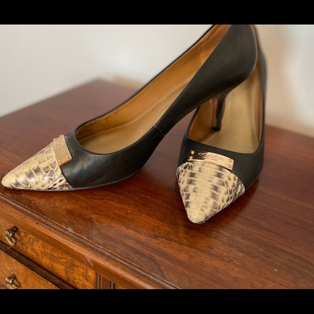 Coach snake tip leather heels
